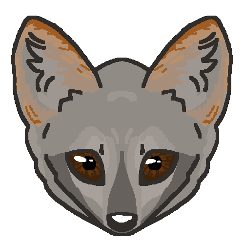 A drawing of the head of a light grey fox. It has a round face with short rounded ears which are a light orange colour. It has large deep brown eyes with lighter grey fur around it.